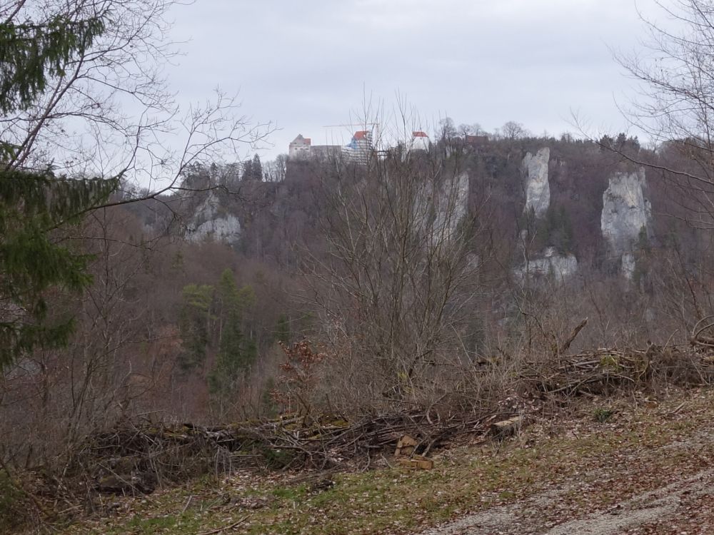 Burg Wildenstein