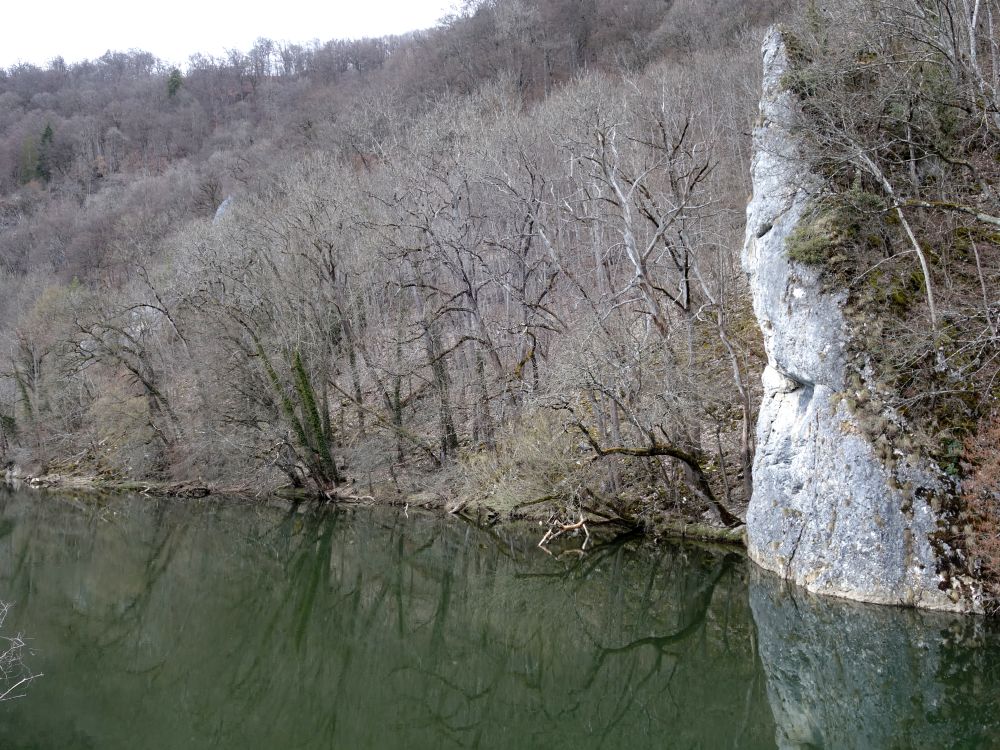 Fels an der Donau