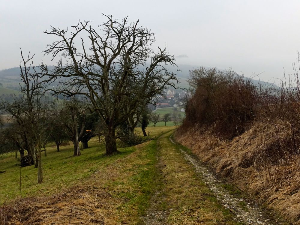 Weg am Sickerberg