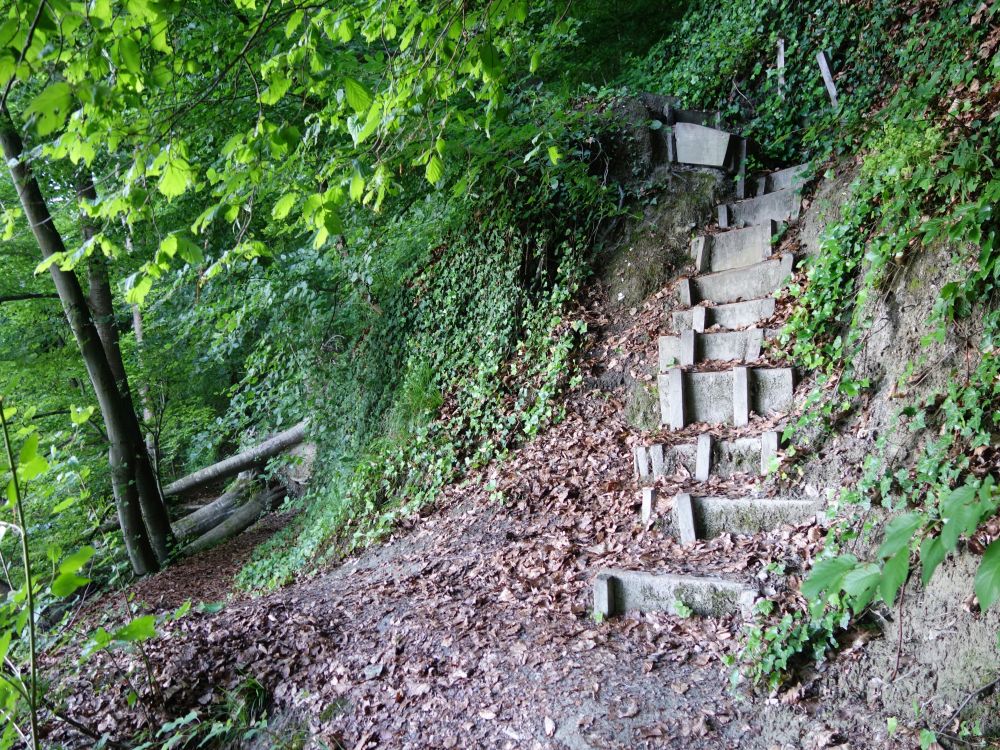 Treppe am Seeufer