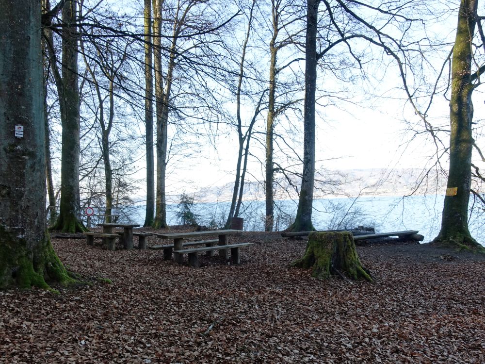 Picknickplatz am Seeufer