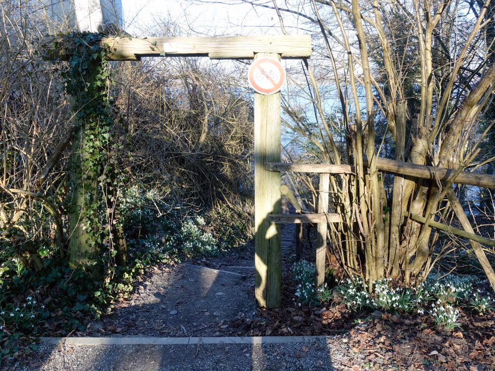 Treppe am Burghof