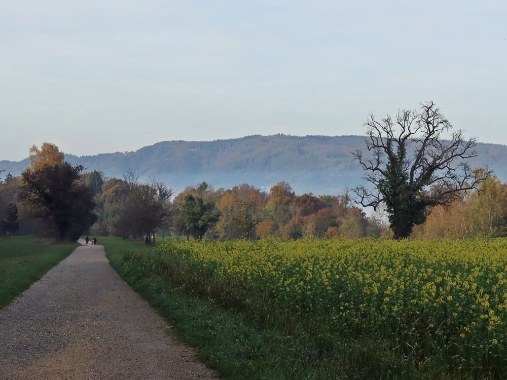 Burghofweg und Nebel überm See