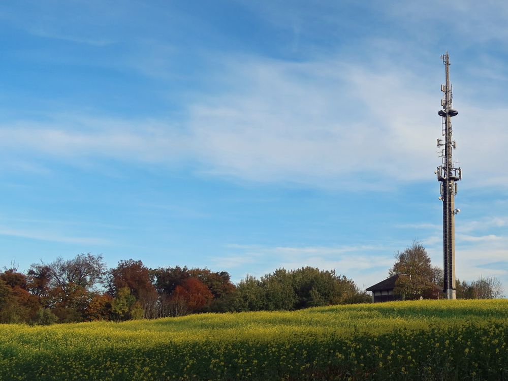 Rapsfeld und Funkmast