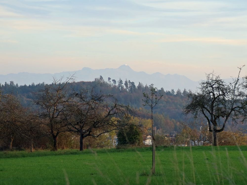 Säntis im Dunst