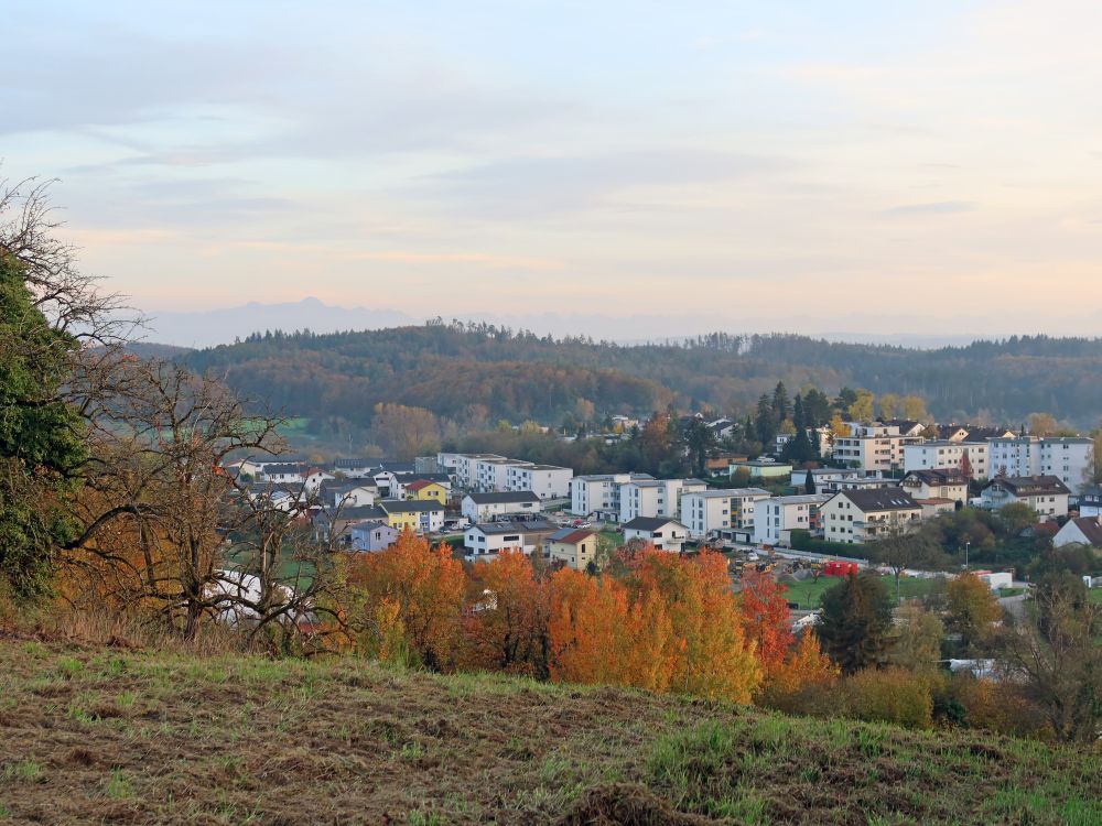 Dettingen