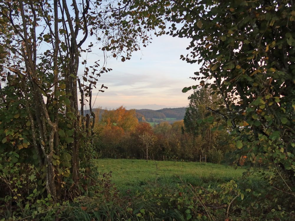 Blick Richtung Säntis