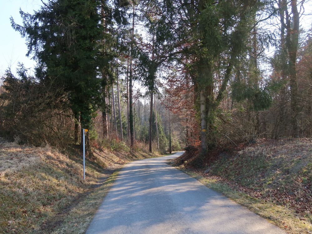 Waldweg