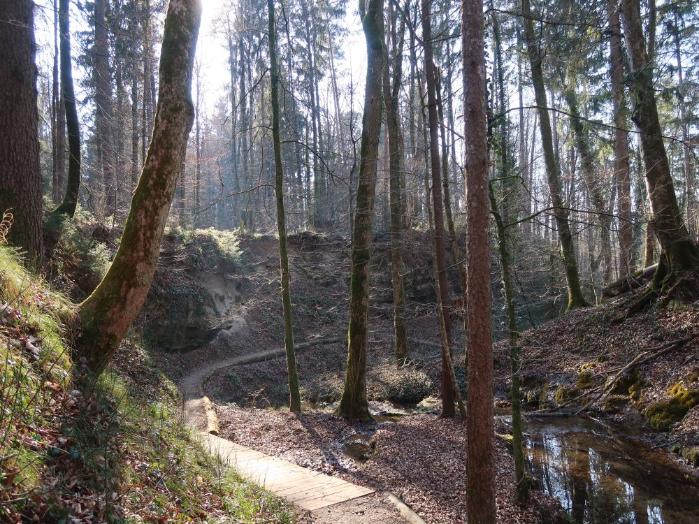 Pfad am Ginselbächli