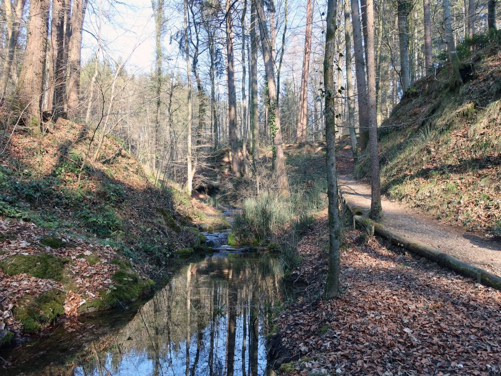 Pfad am Ginselbächli