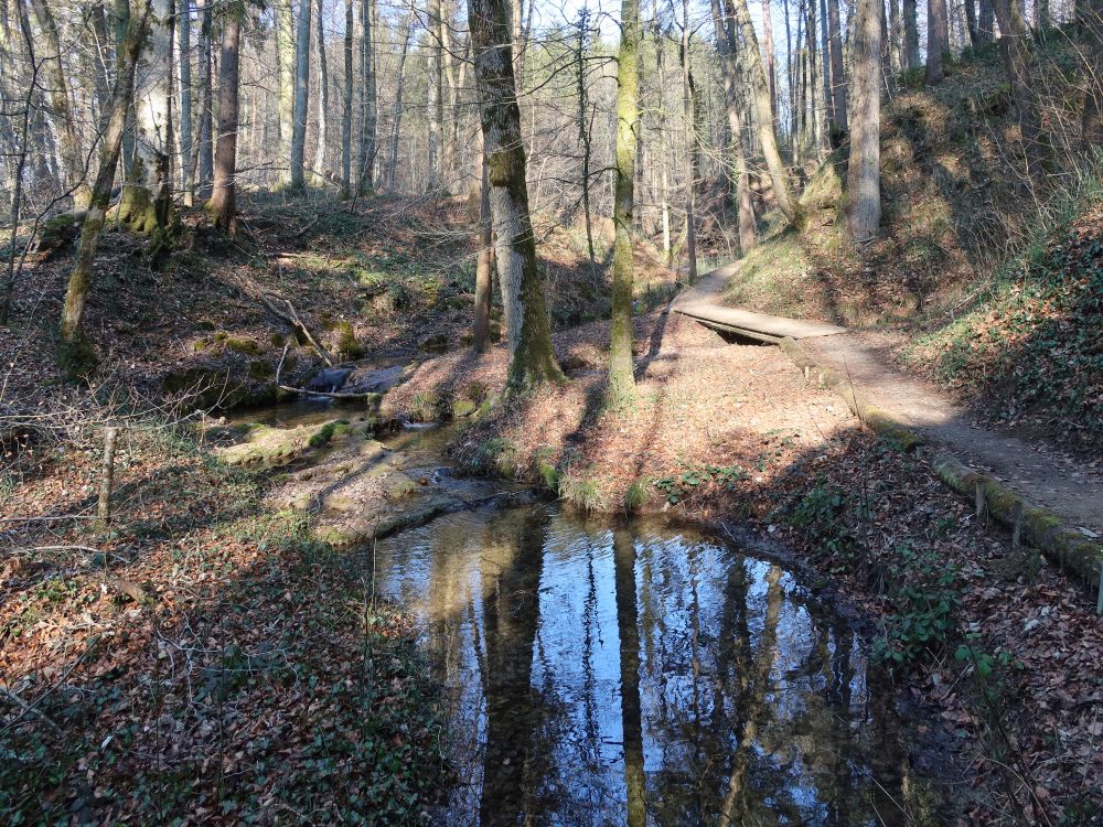 Pfad am Ginselbächli