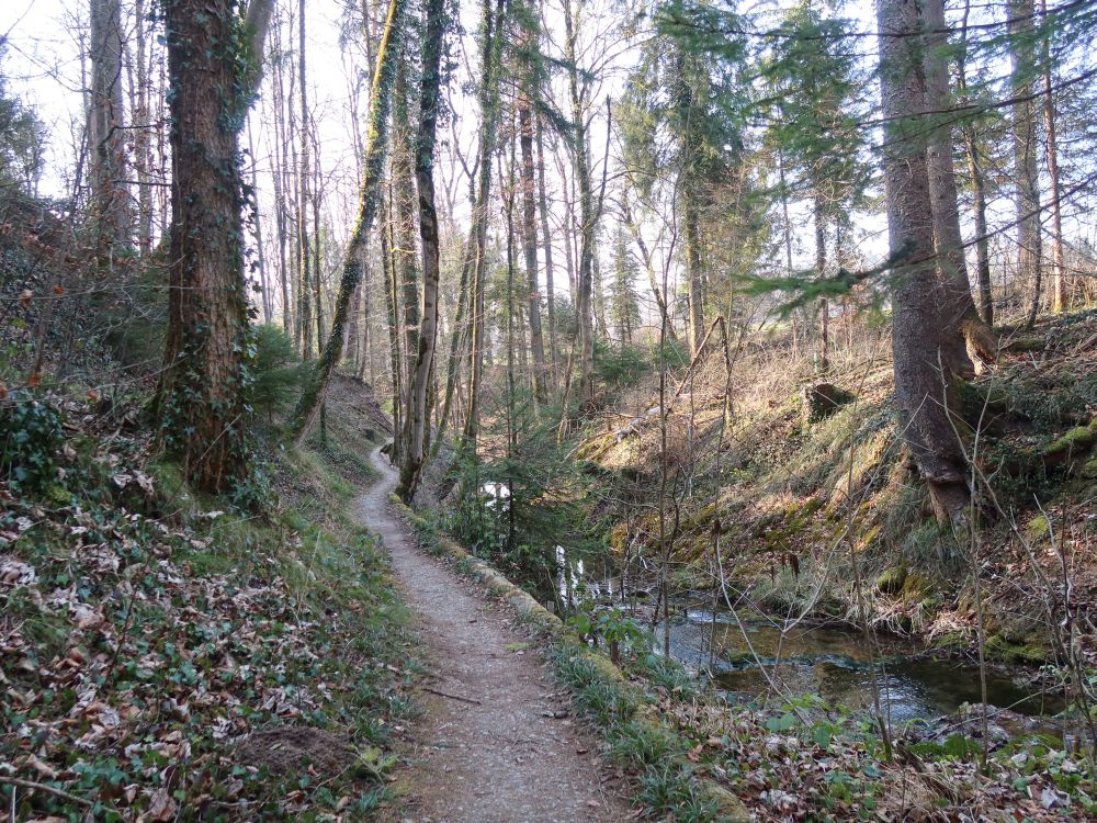 Pfad am Ginselbächli