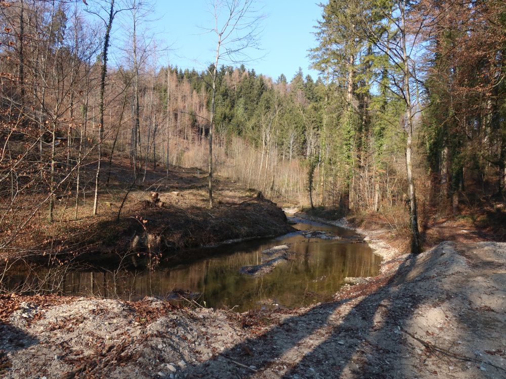 Dorfbach im Tobel