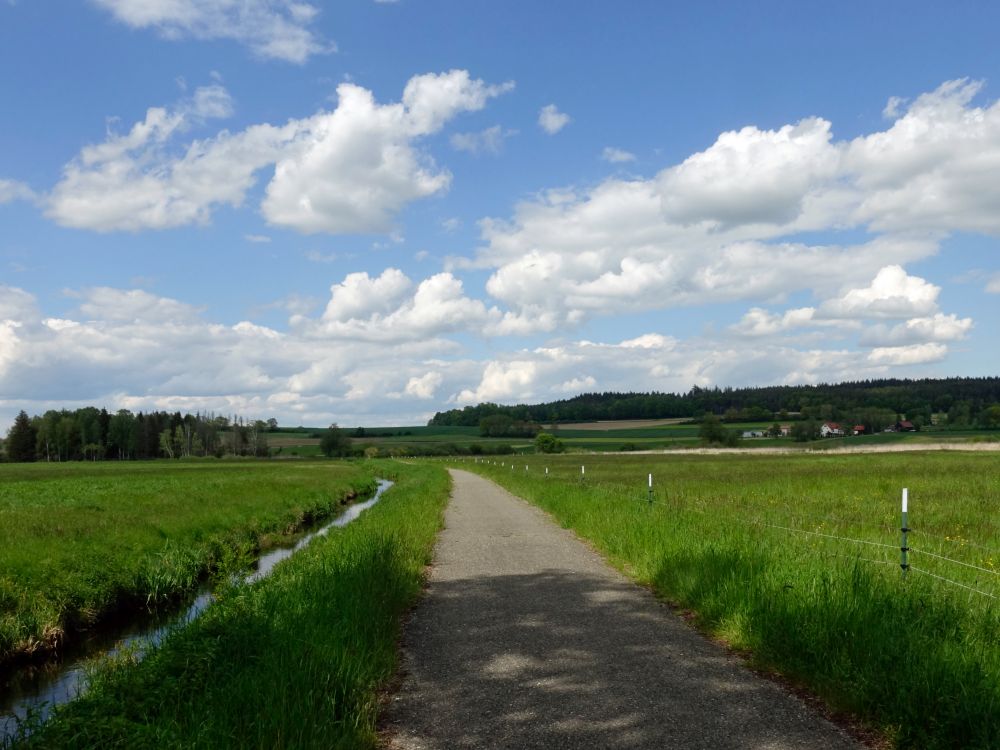 Wanderweg zur Laubbacher Mühle