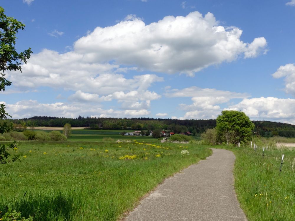 Laubbacher Mühle