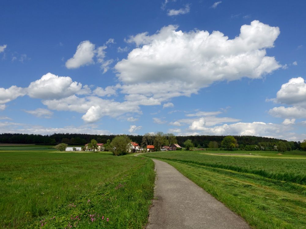 Laubbacher Mühle