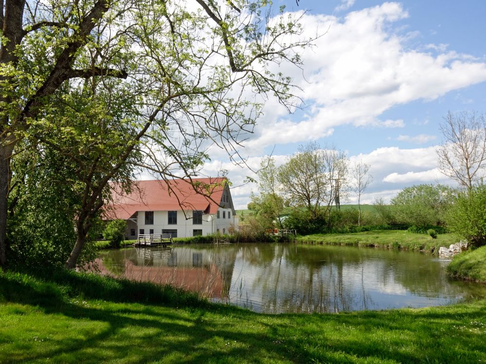 Laubbacher Mühle