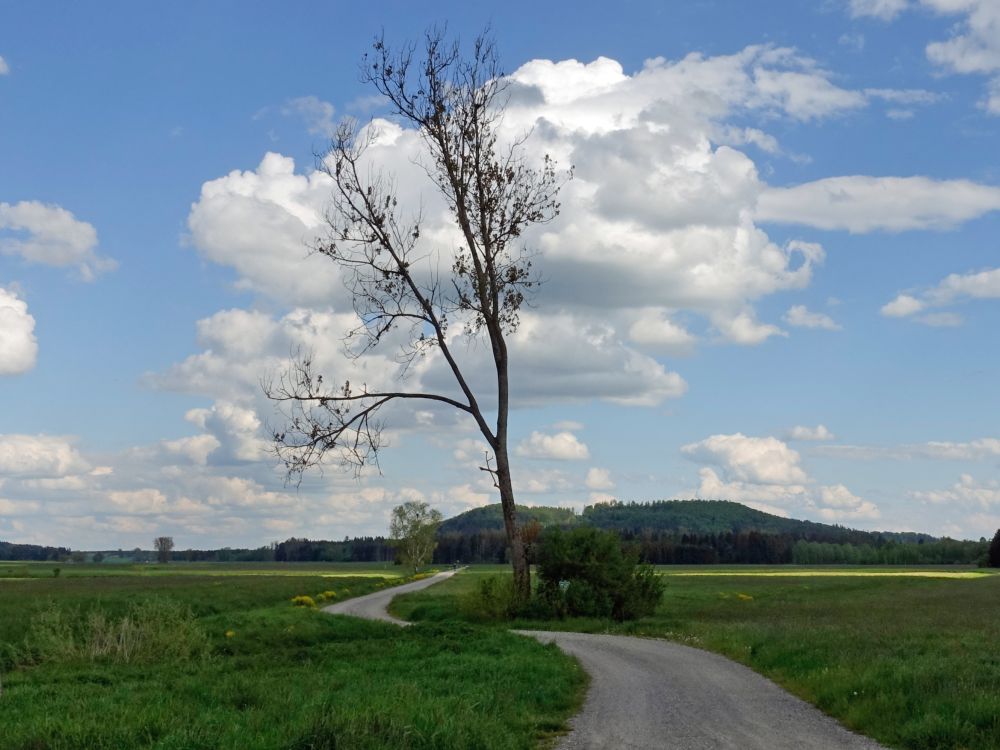 Bei der Ostrachbrücke