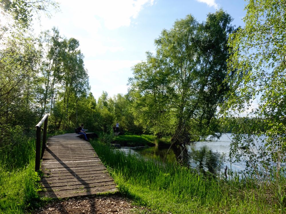 Holzsteg am Vogelsee