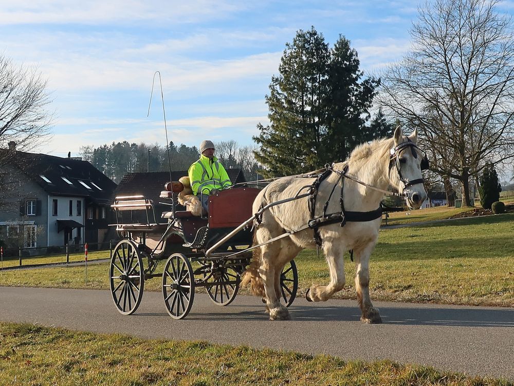 Pferdekutsche