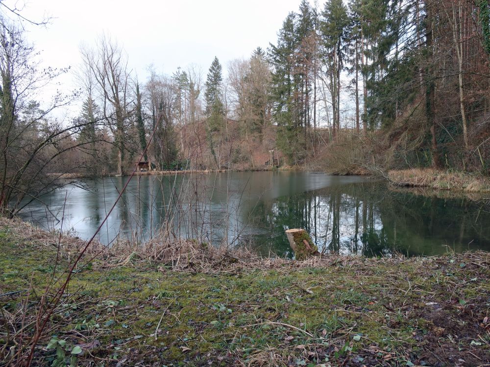 Müliweiher bei Amlikon