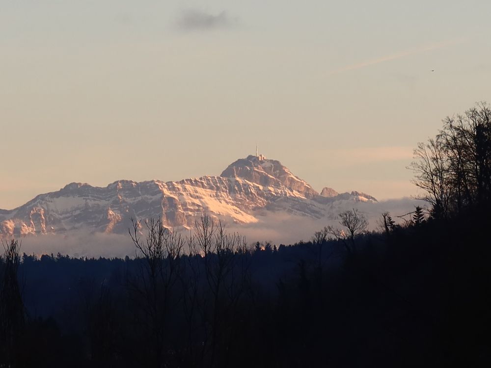 Säntis