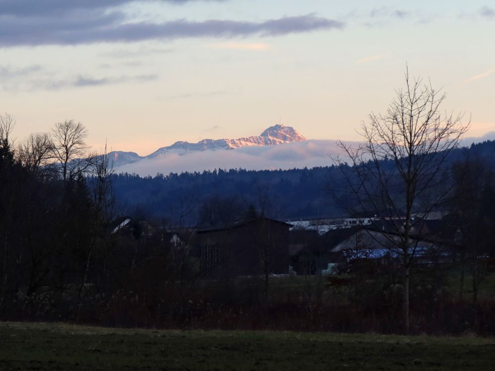 Säntis