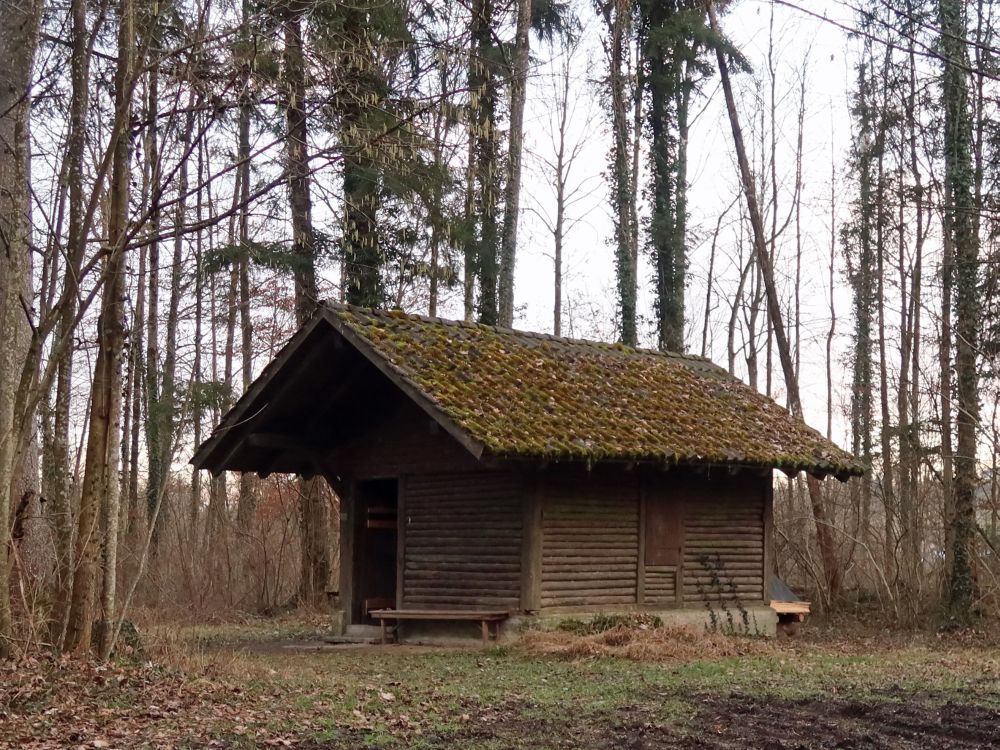 Waldhütte