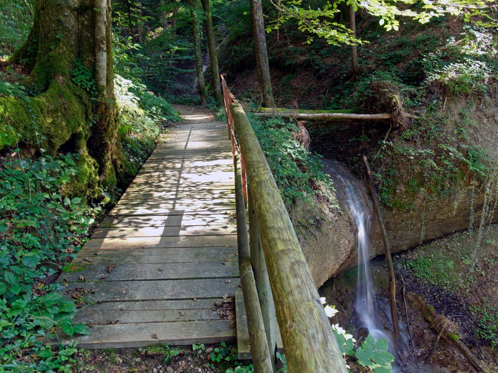 Holzsteg am Wasserfall