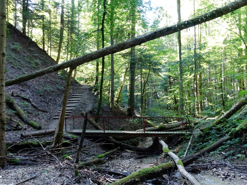 Treppe und Holzsteg