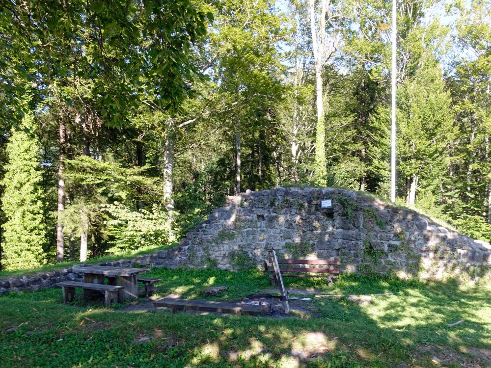 Ruine Altlandenberg