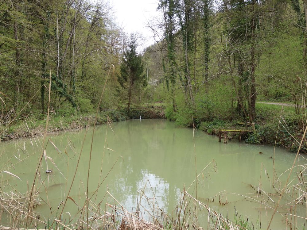 Teich im Chirchtobel