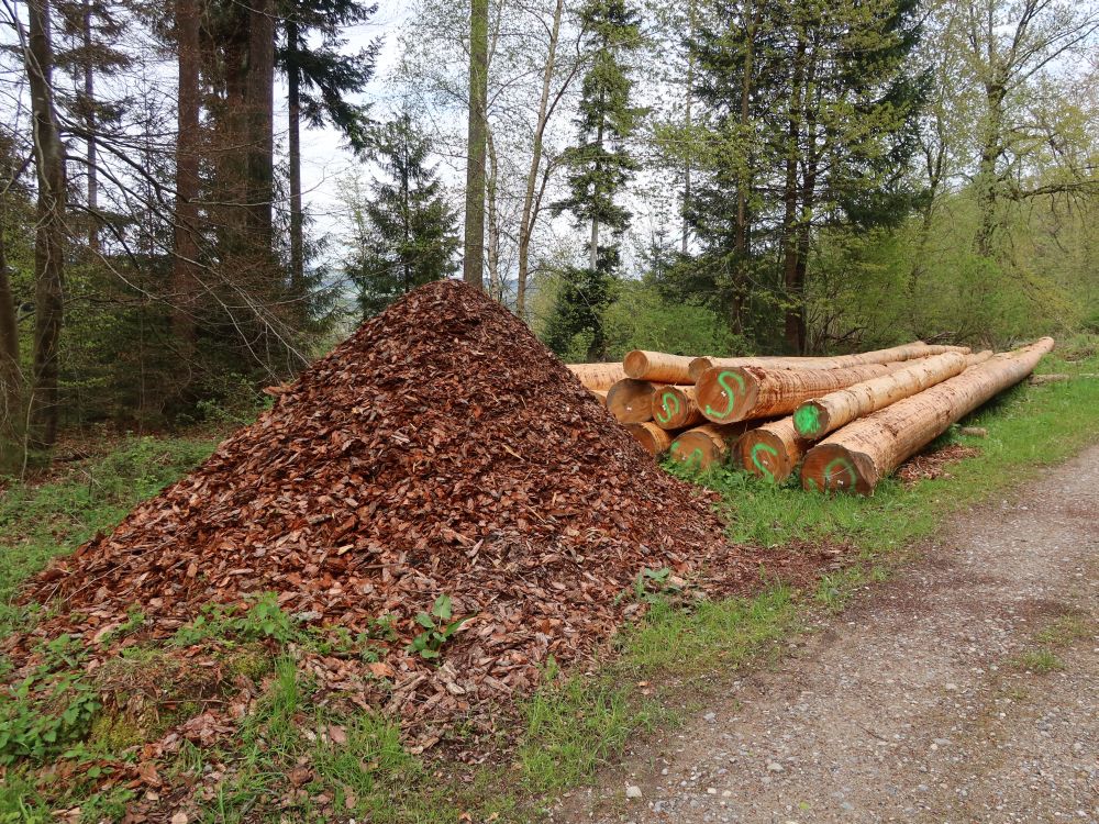 geschälte Baumstämme