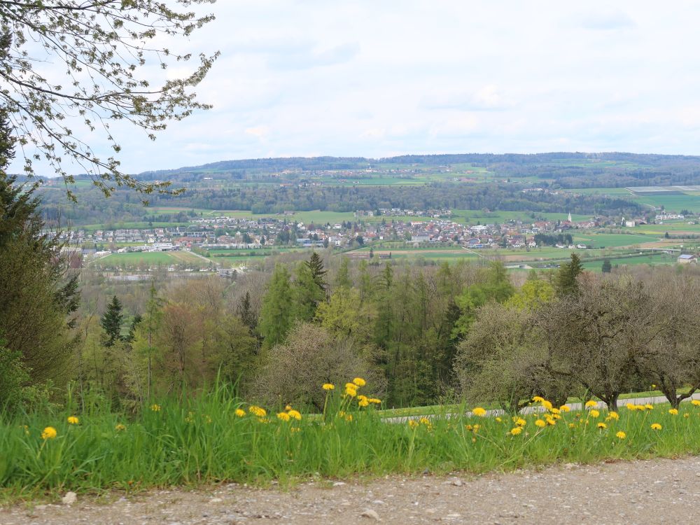 Blick Richtung Müllheim