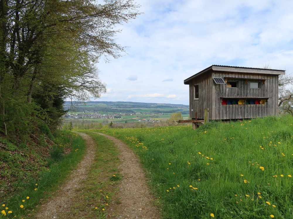 Bienenhaus mit Solatpanel