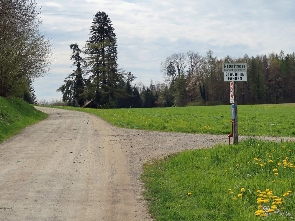 Schild Staubfrei fahren