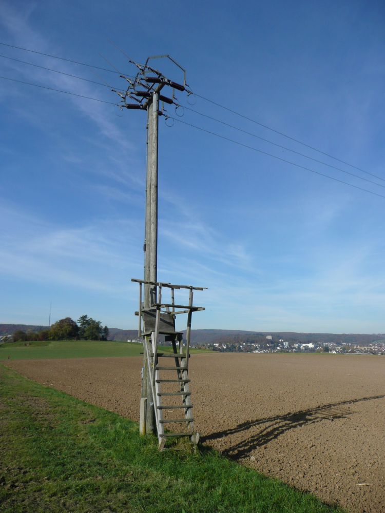 Jägerstand mit Stromanschluss