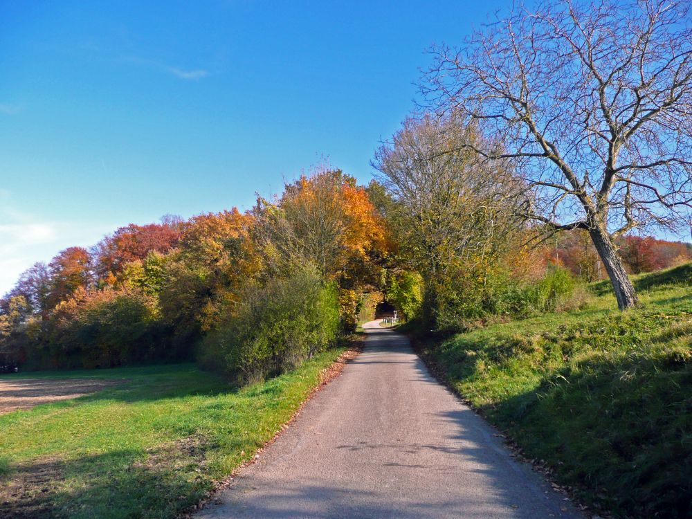 Weg zum Sportplatz