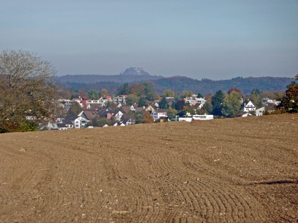 Hohentwiel über Feuerthalen