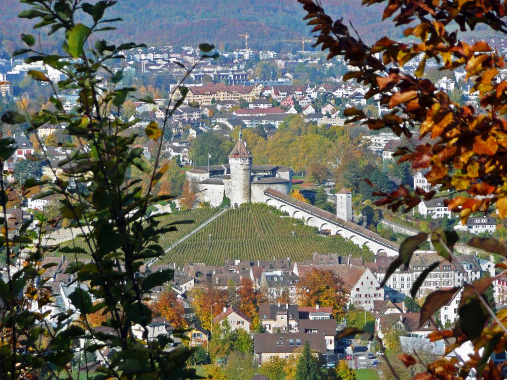 Munot in Schaffhausen