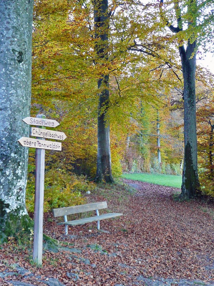 Ruhebank am Ortsrand Feuerthalen