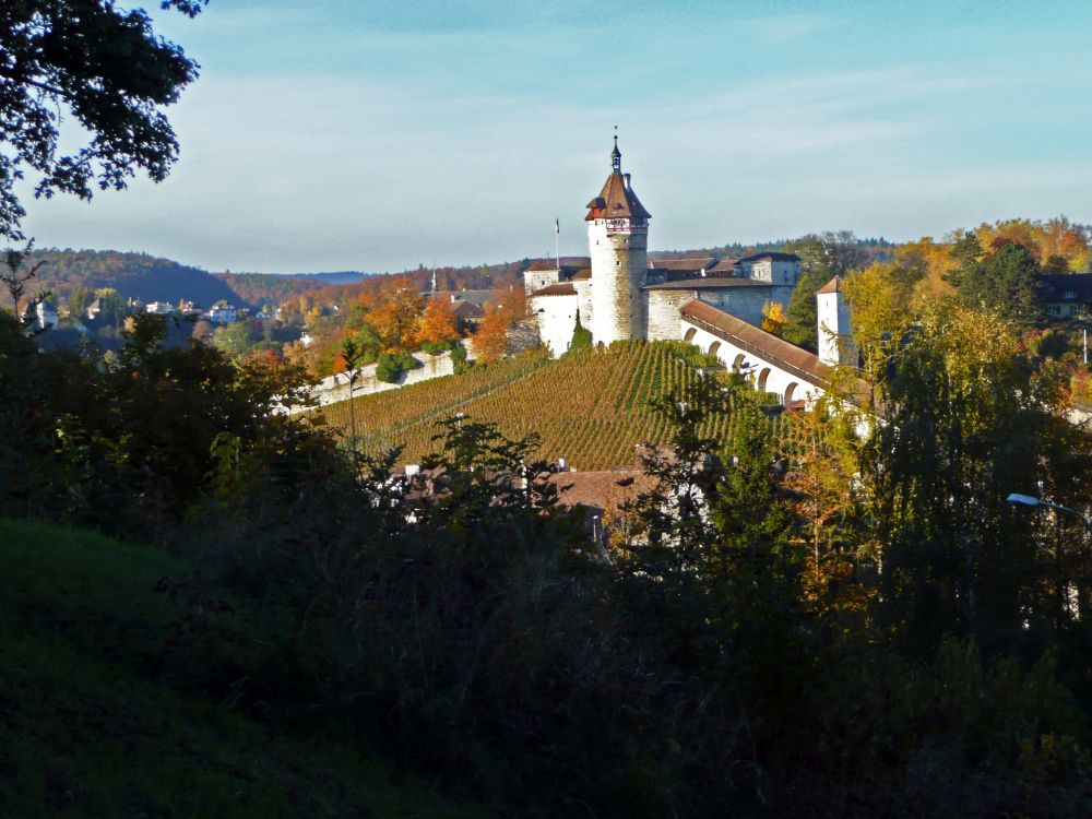 Munot in Schaffhausen