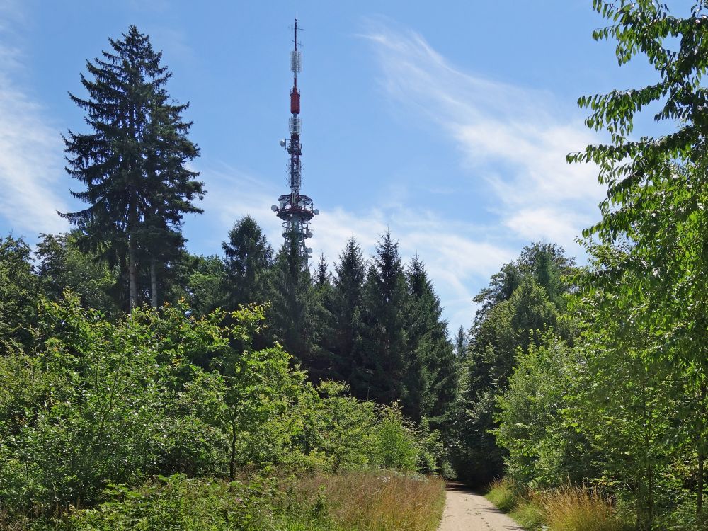 Antennenturm