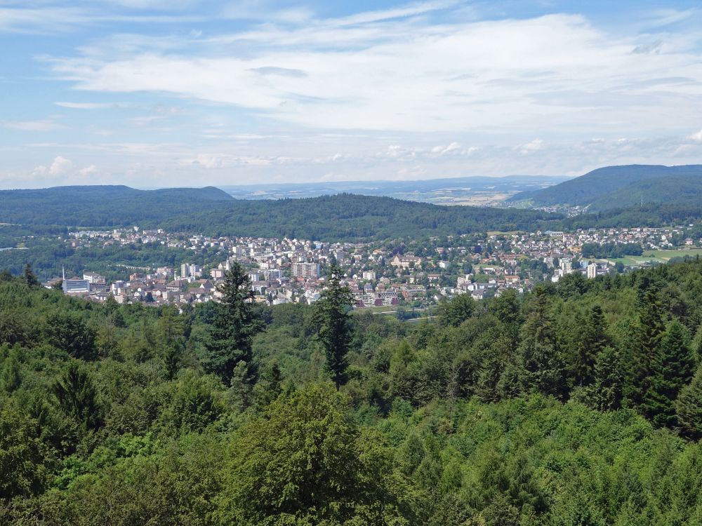 Blick auf Neuhausen