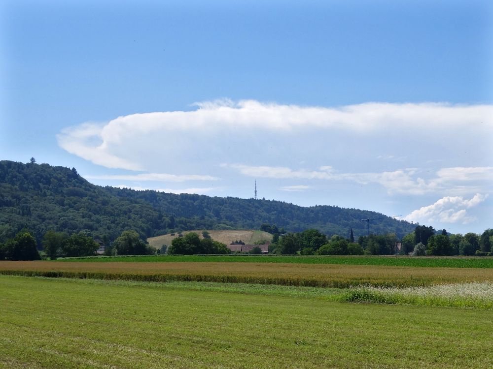 Blick zum Antennenturm