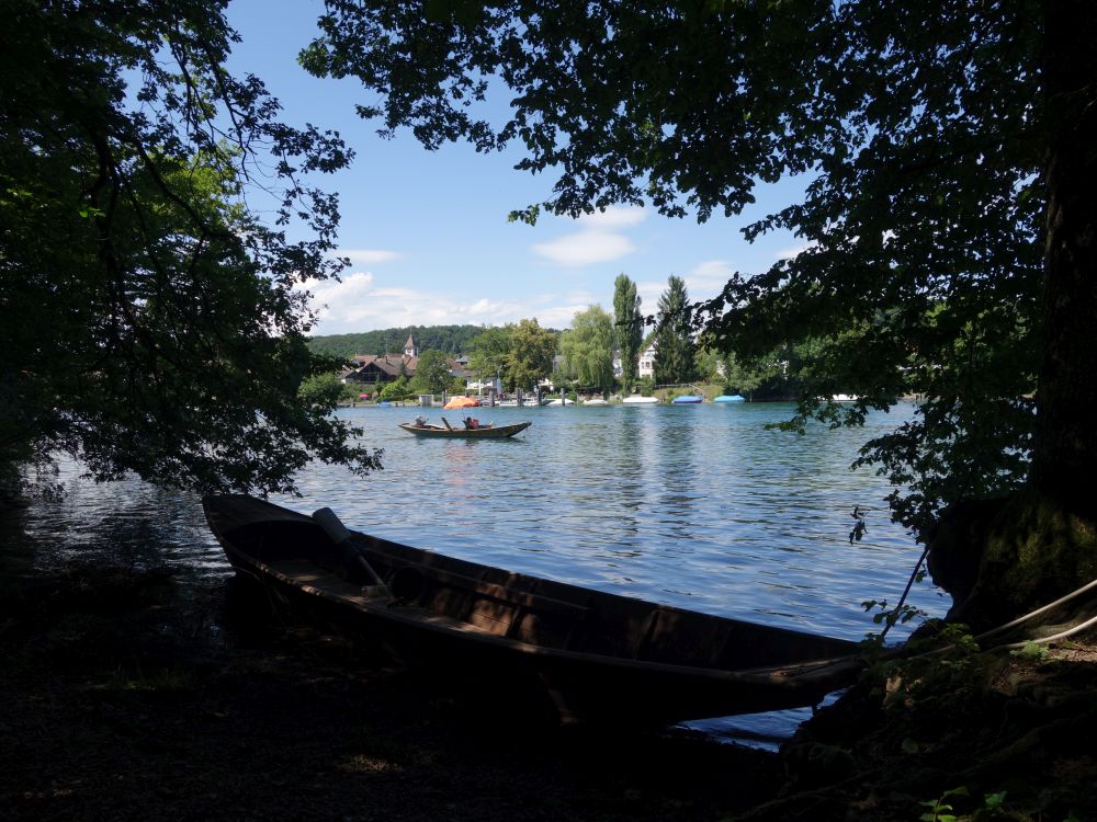 Rhein bei Bsingen