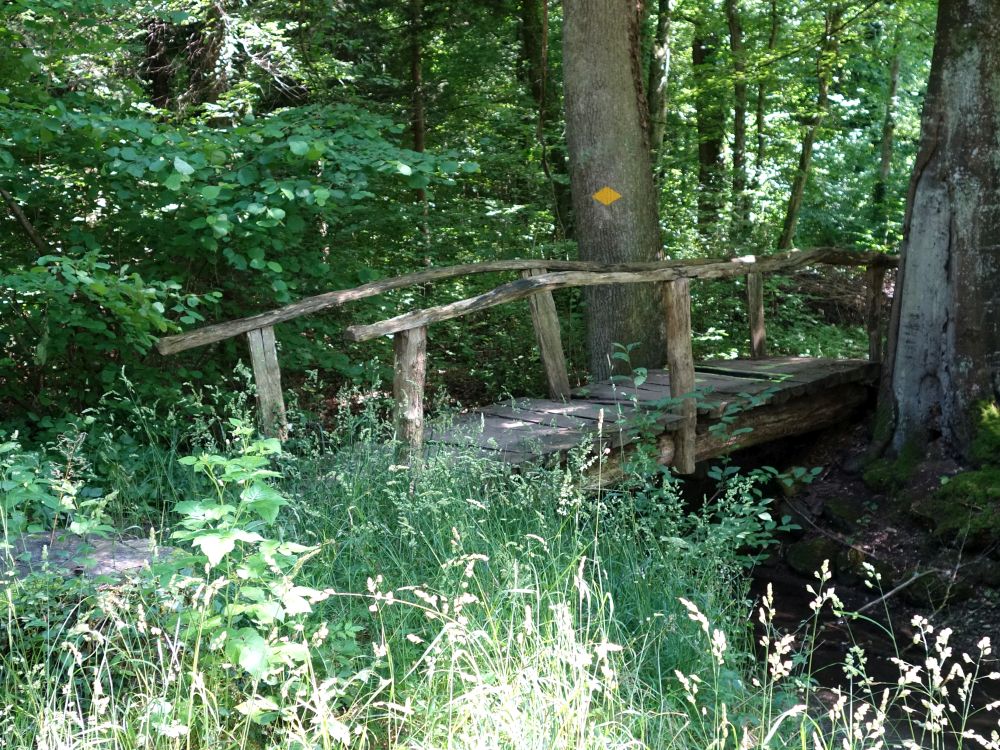 alte Holzbrücke