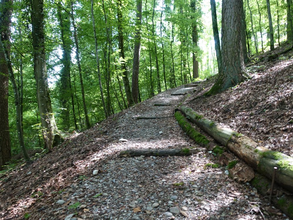 Pfad zur Alemannenhöhle