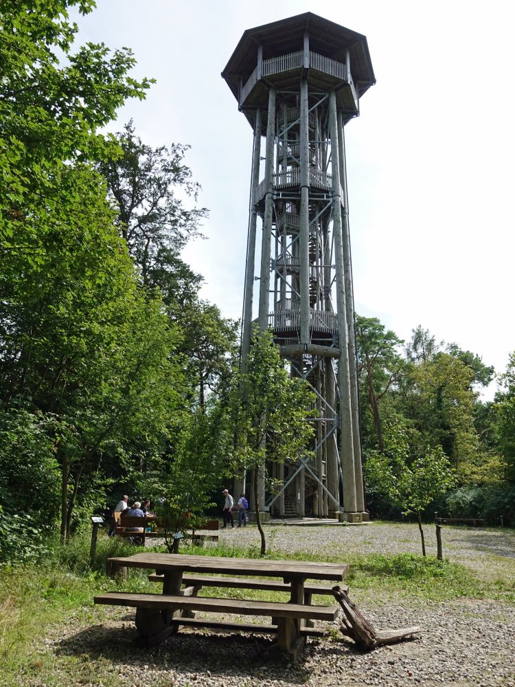 Aussichtsturm Hochwacht Cholfirst