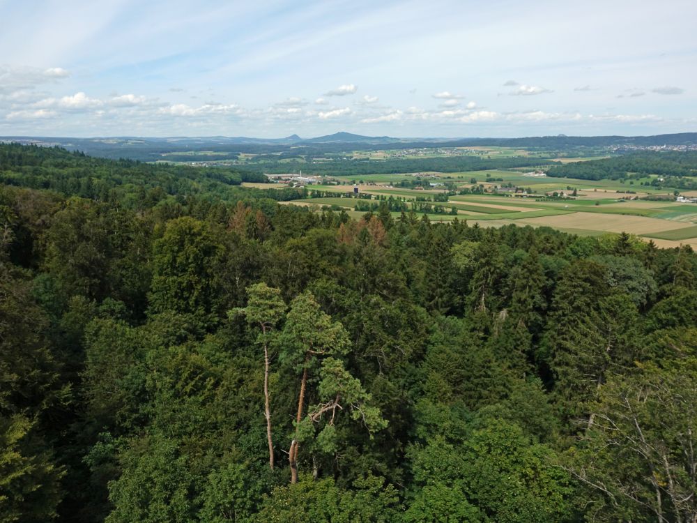 Hegauberg am Horizont